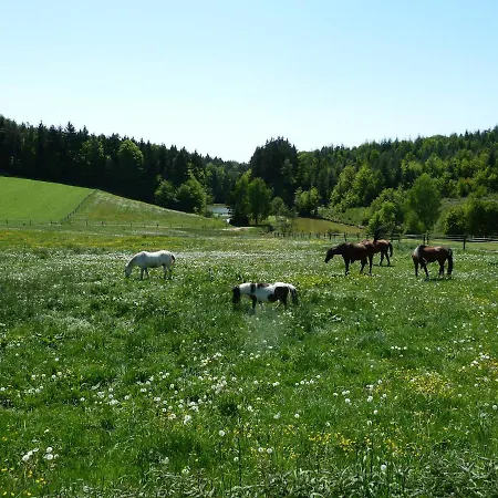 Ferienhaus Laumer Tatil Evi